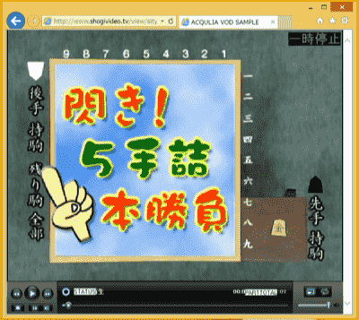 20130107-shogivideo